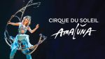 Cirque Du Soleil Amaluna