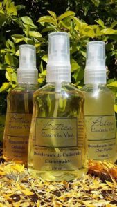 Feira Vegana Solidária